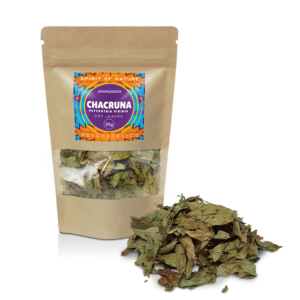 Buy Psychotria viridis (chacruna) leaves
